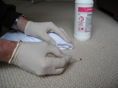 Stain removal in Herts